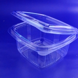 Food Containers with a Hinged Lid