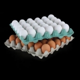 Egg Boxes and Trays