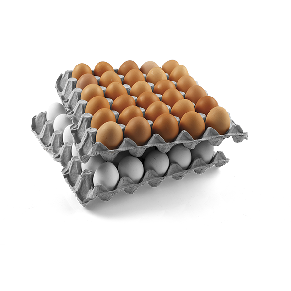 Multi K Egg Trays