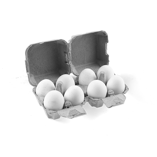 Egg Boxes FLATTOP 4