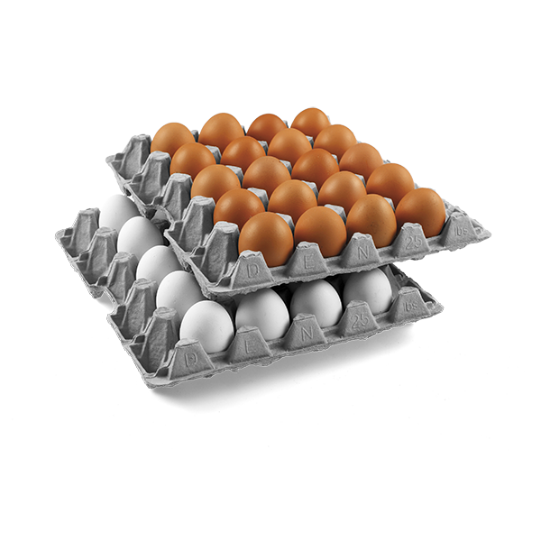 25LBS Egg Trays