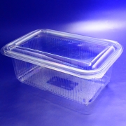 Food Containers with Hinged Lids