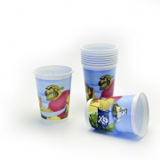 Pirates Plastic Cups - 10 pcs.
